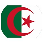 Roundel Of Algeria Air Force Double Sided Flano Blanket (Medium)  60 x50  Blanket Front