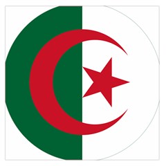 Roundel Of Algeria Air Force Large Satin Scarf (square) by abbeyz71