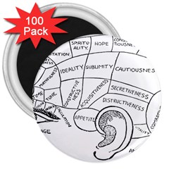 Brain Chart Diagram Face Fringe 3  Magnets (100 Pack) by Nexatart