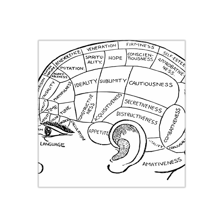 Brain Chart Diagram Face Fringe Satin Bandana Scarf