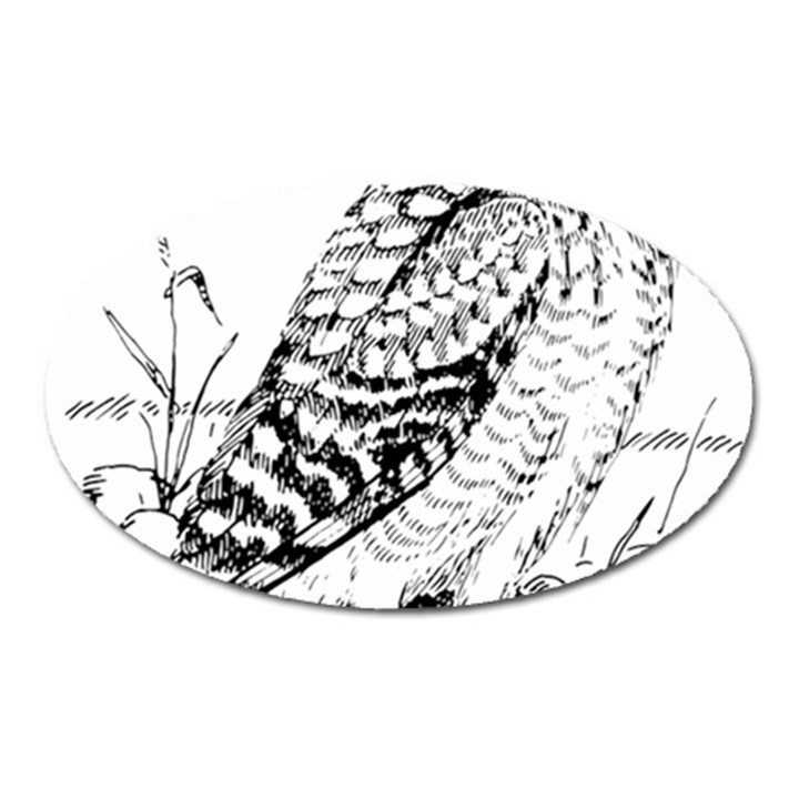 Animal Bird Forest Nature Owl Oval Magnet