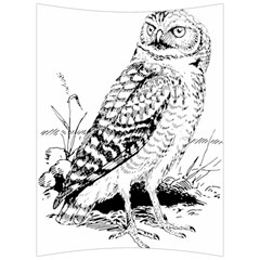 Animal Bird Forest Nature Owl Back Support Cushion