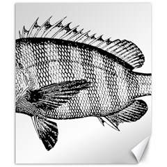 Animal Fish Ocean Sea Canvas 20  X 24   by Nexatart