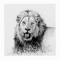 Lion Wildlife Art And Illustration Pencil Medium Glasses Cloth (2-side) by Nexatart