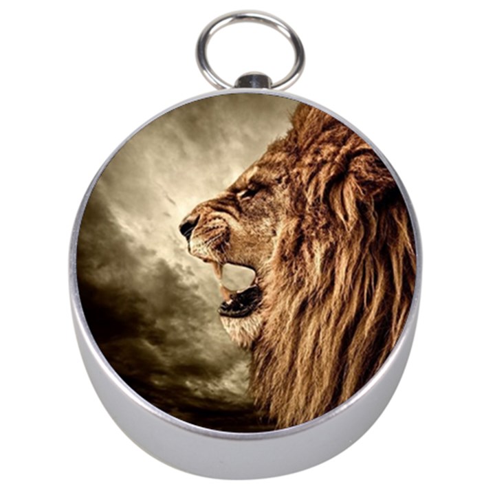 Roaring Lion Silver Compasses