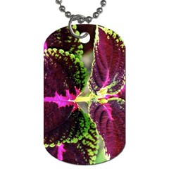 Plant Purple Green Leaves Garden Dog Tag (two Sides) by Nexatart