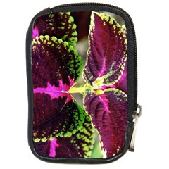 Plant Purple Green Leaves Garden Compact Camera Cases by Nexatart