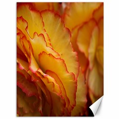 Flowers Leaves Leaf Floral Summer Canvas 36  X 48  