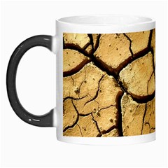 Dry Ground Morph Mugs