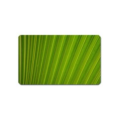 Green Leaf Pattern Plant Magnet (name Card) by Sapixe