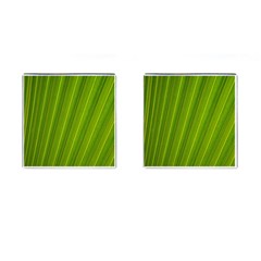 Green Leaf Pattern Plant Cufflinks (square) by Sapixe