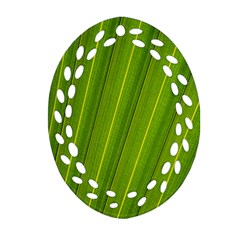 Green Leaf Pattern Plant Ornament (oval Filigree)