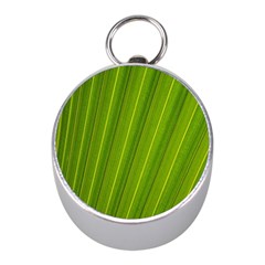 Green Leaf Pattern Plant Mini Silver Compasses