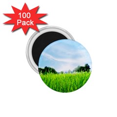 Green Landscape, Green Grass Close Up Blue Sky And White Clouds 1 75  Magnets (100 Pack)  by Sapixe