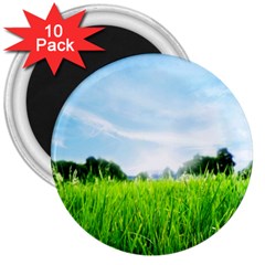 Green Landscape, Green Grass Close Up Blue Sky And White Clouds 3  Magnets (10 Pack)  by Sapixe