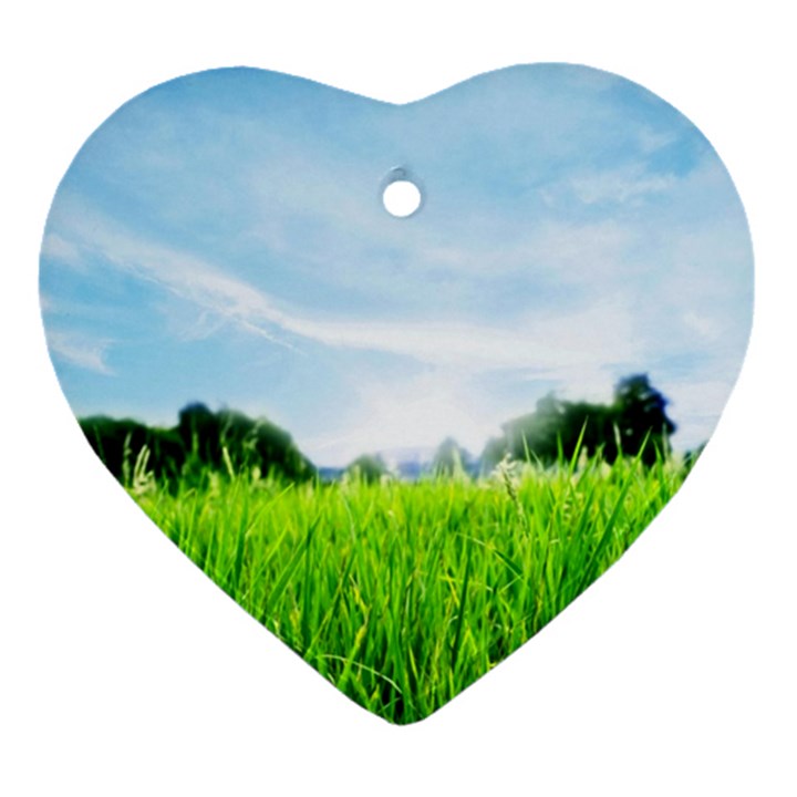 Green Landscape, Green Grass Close Up Blue Sky And White Clouds Heart Ornament (Two Sides)