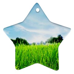 Green Landscape, Green Grass Close Up Blue Sky And White Clouds Star Ornament (two Sides) by Sapixe