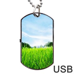 Green Landscape, Green Grass Close Up Blue Sky And White Clouds Dog Tag Usb Flash (two Sides)