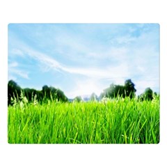 Green Landscape, Green Grass Close Up Blue Sky And White Clouds Double Sided Flano Blanket (large)  by Sapixe