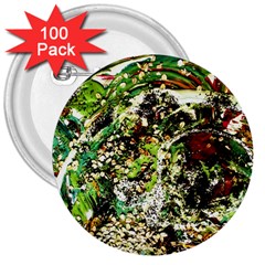 April   Birds Of Paradise 5 3  Buttons (100 Pack) 