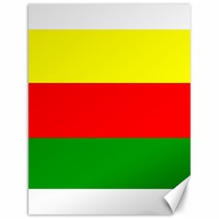 Kurdistan Kurd Kurds Kurdish Flag Canvas 12  X 16   by Sapixe