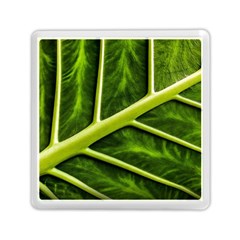 Leaf Dark Green Memory Card Reader (square)  by Sapixe