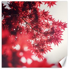 Maple Leaves Red Autumn Fall Canvas 20  X 20  