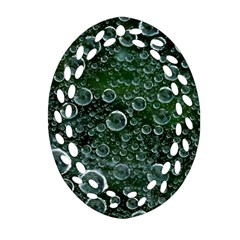 Morning Dew Oval Filigree Ornament (two Sides) by Sapixe