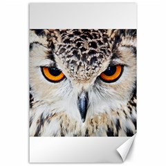 Owl Face Canvas 24  X 36 