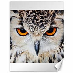 Owl Face Canvas 36  X 48   by Sapixe