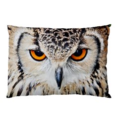 Owl Face Pillow Case by Sapixe