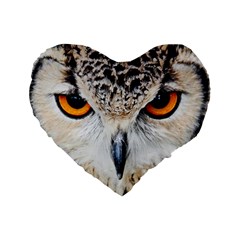 Owl Face Standard 16  Premium Heart Shape Cushions