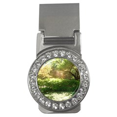 Highland Park 19 Money Clips (cz)  by bestdesignintheworld