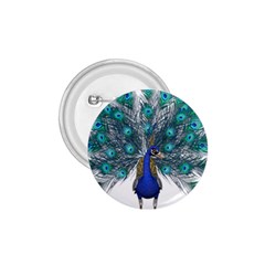 Peacock Bird Peacock Feathers 1 75  Buttons by Sapixe