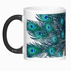 Peacock Bird Peacock Feathers Morph Mugs by Sapixe