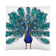 Peacock Bird Peacock Feathers Standard Cushion Case (one Side) by Sapixe