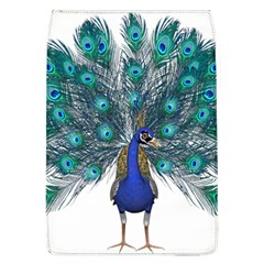 Peacock Bird Peacock Feathers Flap Covers (l) 