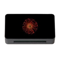 Red Flower Blooming In The Dark Memory Card Reader With Cf by Sapixe