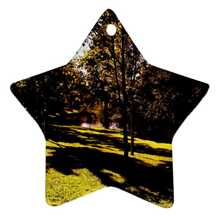 Highland Park 17 Ornament (Star)