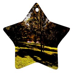 Highland Park 17 Star Ornament (two Sides) by bestdesignintheworld