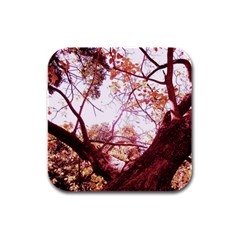 Highland Park 12 Rubber Square Coaster (4 Pack)  by bestdesignintheworld