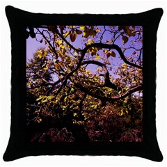 Highland Park 9 Throw Pillow Case (black) by bestdesignintheworld