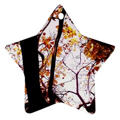 Highland Park 8 Star Ornament (two Sides) by bestdesignintheworld