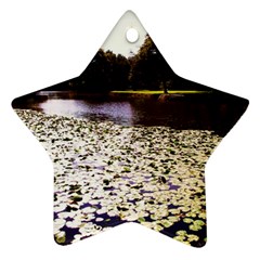 Highland Park 6 Star Ornament (two Sides)