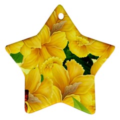 Springs First Arrivals Star Ornament (Two Sides)