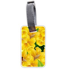 Springs First Arrivals Luggage Tags (One Side) 