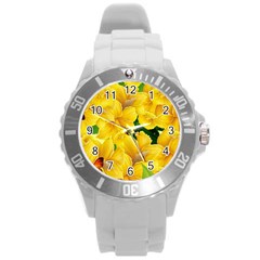 Springs First Arrivals Round Plastic Sport Watch (L)