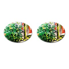 Dscf2188 -- plant in the room Cufflinks (Oval)