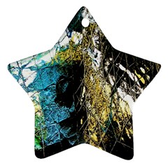 In The Net Of The Rules 3 Ornament (star) by bestdesignintheworld