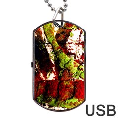 Collosium   Swards And Helmets 4 Dog Tag Usb Flash (two Sides) by bestdesignintheworld